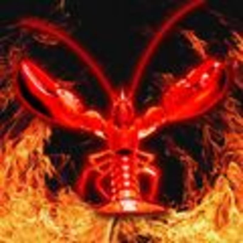 Paris AI Lab's Translation Models Run on Your Phone - Image 2