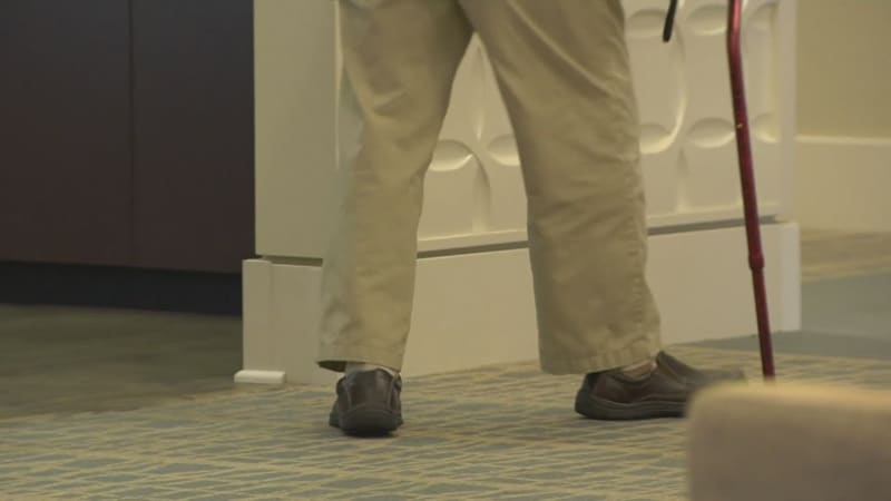 Cleveland Scientists Reverse Alzheimer's in Mice Study - Image 2