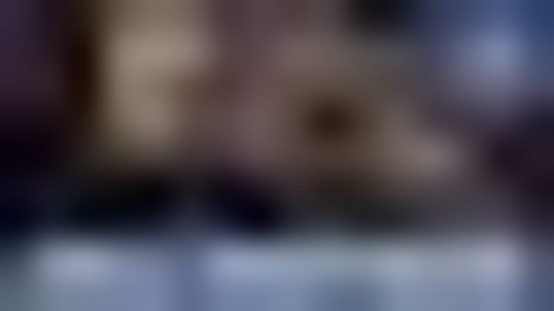 Florida Finds Mite That Eats Two Strawberry Pests - Image 4