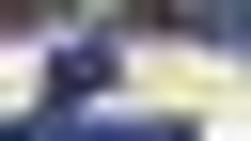 Bradenton Bald Eagle Saved by Quick-Thinking Resident - Image 3