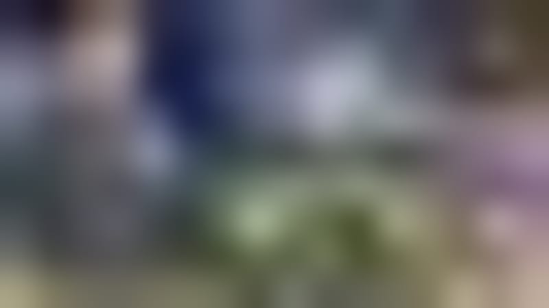 Florida Finds Mite That Eats Two Strawberry Pests - Image 5