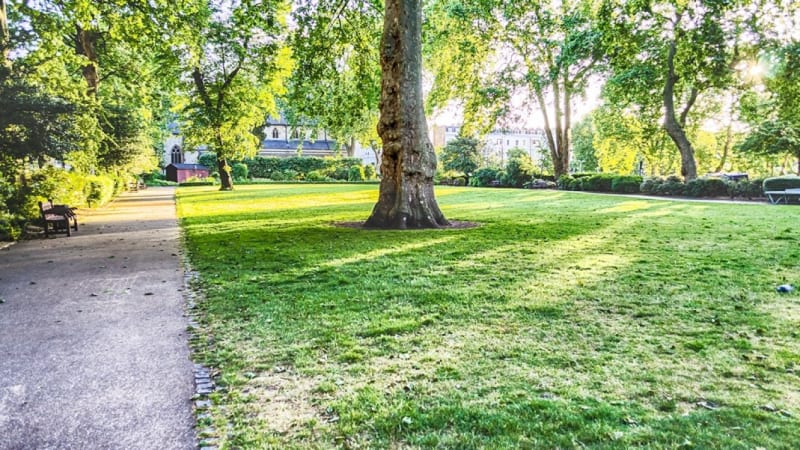 Mexico Plants Forests in Schools to Cool Cities by 20°