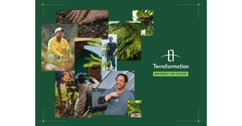 Hawaii Group Plants 5.4M Trees Across Three Continents