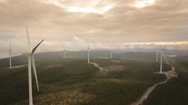 Mars Secures 70% of Swedish Wind Farm for Clean Energy Push - Image 2