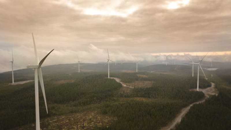 Mars Secures 70% of Swedish Wind Farm for Clean Energy Push - Image 3
