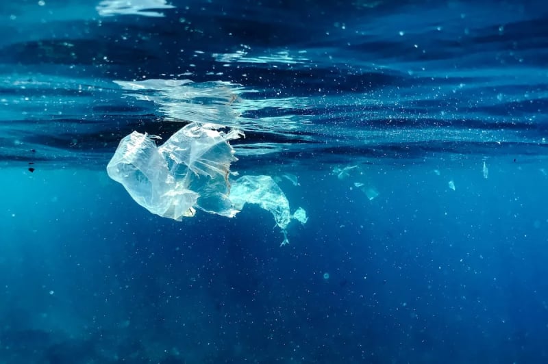 French Firm Joins 4ocean to Remove 5,700kg of Plastic