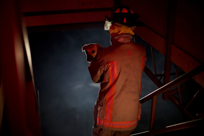 Los Angeles firefighters battling house fire while rescuing trapped dog from burning home