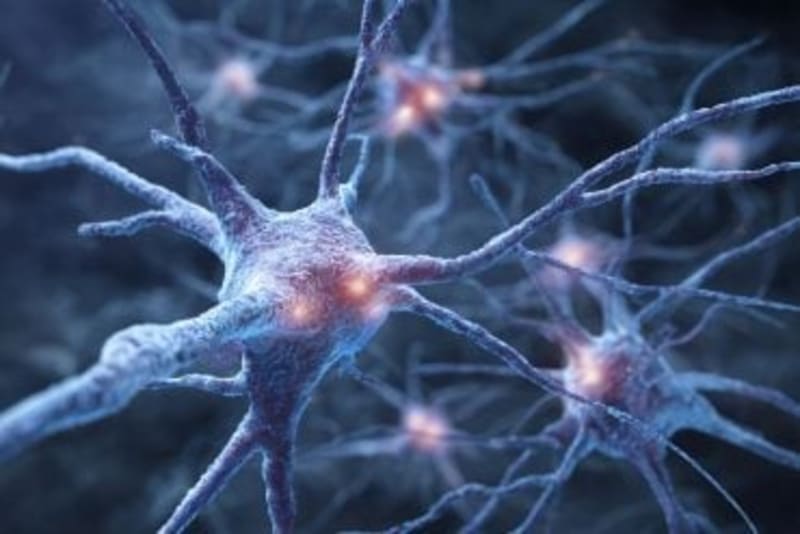 Brain Training Cuts Dementia Risk 25% for 20 Years - Image 4