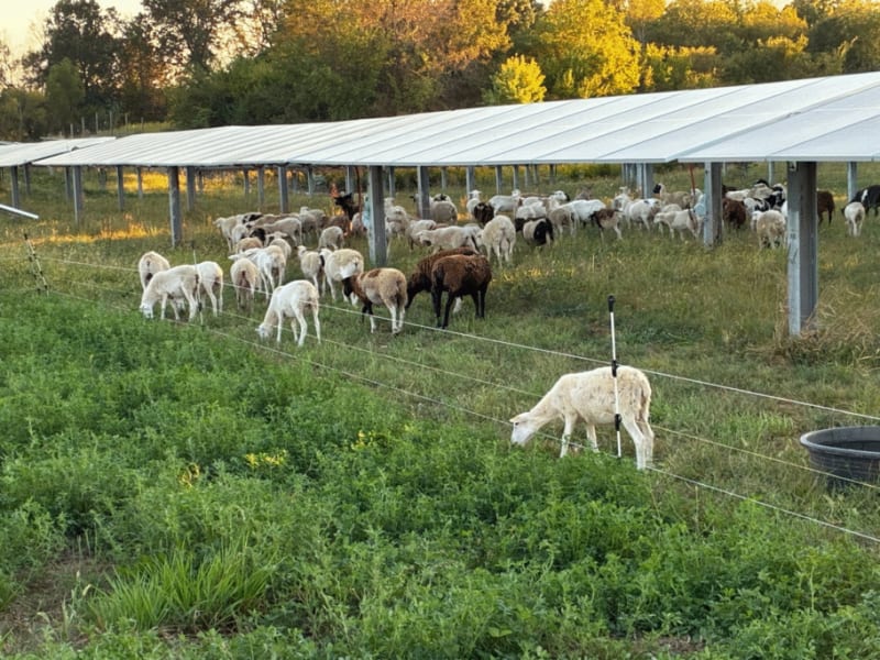 Microsoft Hits 100% Renewable Energy Goal Two Years Early - Image 3