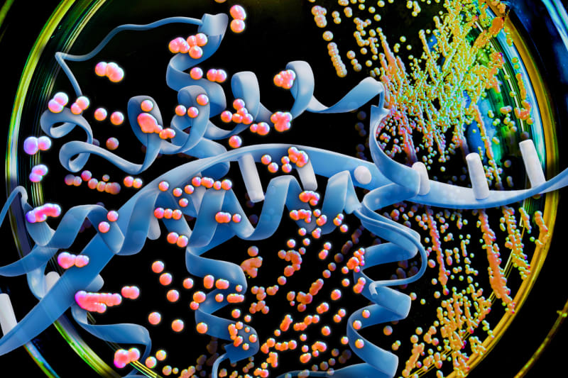 MIT AI Slashes Protein Drug Development Costs