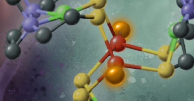 Oregon State Team Watches Alzheimer's Damage Start to Reverse