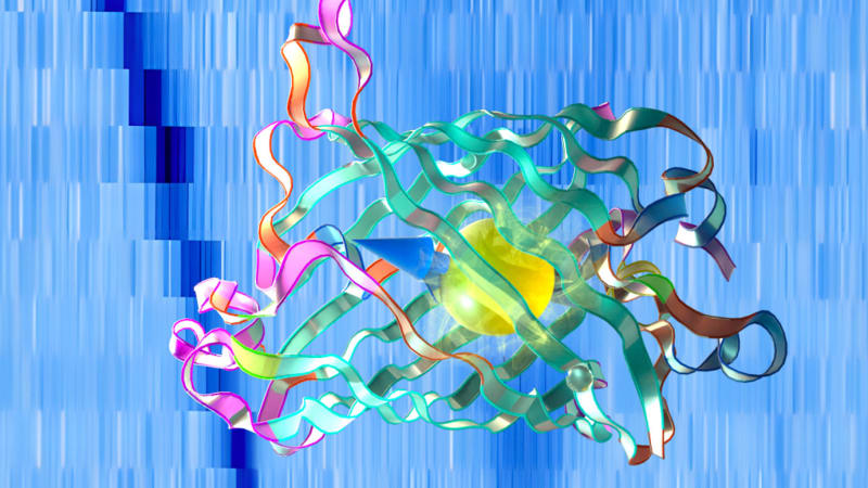 Scientists Create Breakthrough Quantum Sensor That Could Detect Diseases Earlier Than Ever