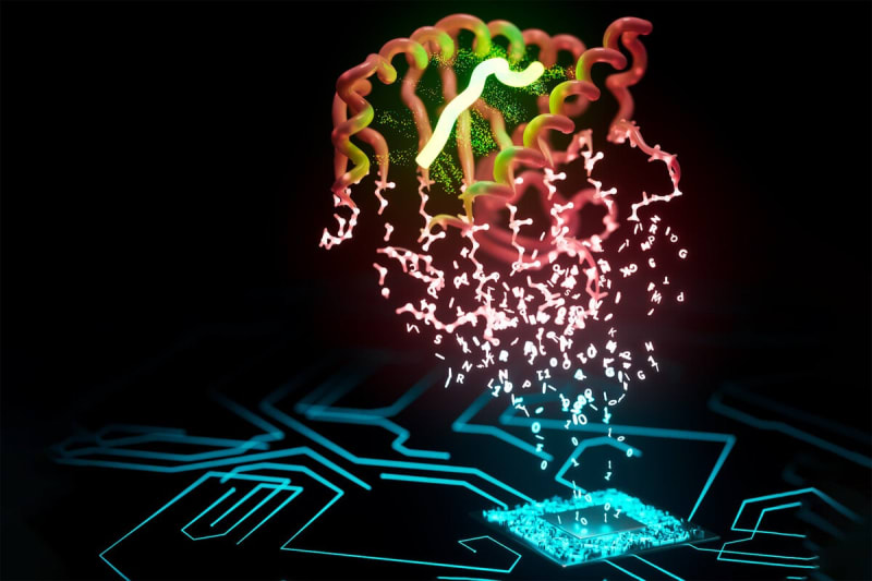 Yale Unlocks Key to Fighting 90% of Cancers - Image 2