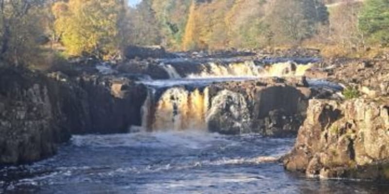 Historic Campaign Aims to Create England's Largest Protected Wildlife Haven - Image 5