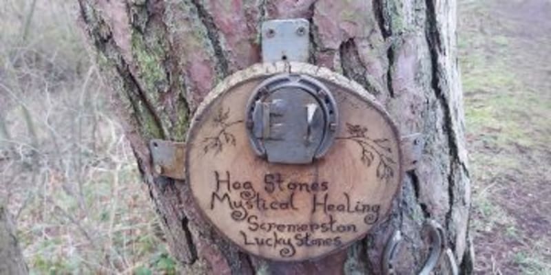 Historic Campaign Aims to Create England's Largest Protected Wildlife Haven - Image 3