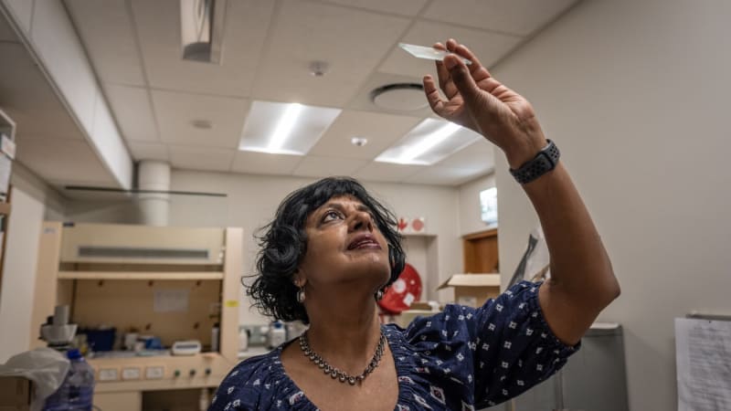 Researcher Anusuya Chinsamy-Turan observing Nile crocodiles at South African facility for dinosaur bone research