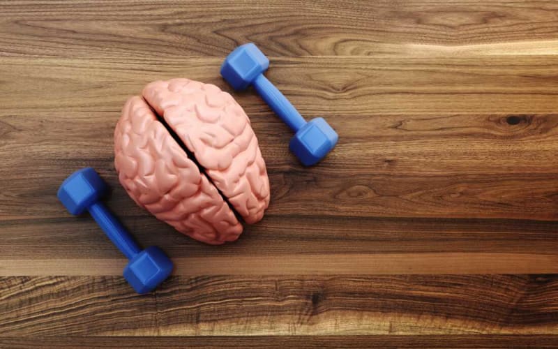 10 Hours of Brain Training Cuts Dementia Risk 25% - Image 4