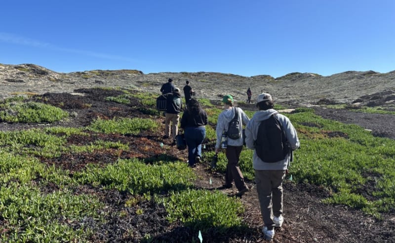 Volunteers Save Endangered Butterfly at Marina Dunes - Image 4