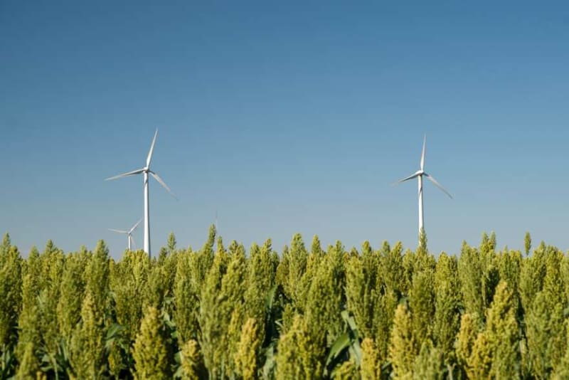 Kansas Counties Bank on Wind Energy to Revive Rural Towns - Image 5