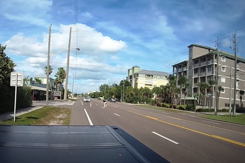 Dad of 5 Stops Traffic to Save Toddlers in Florida - Image 4