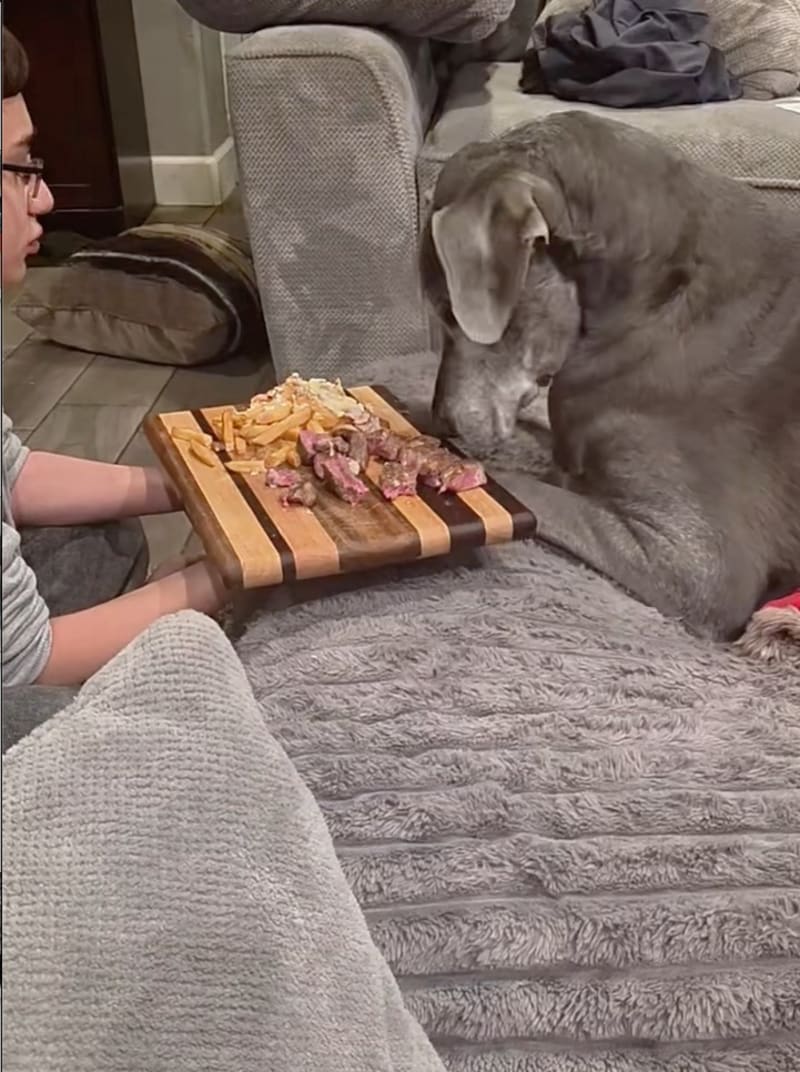 Worker Pays for Dying Dogs' Final Steakhouse Meal - Image 3