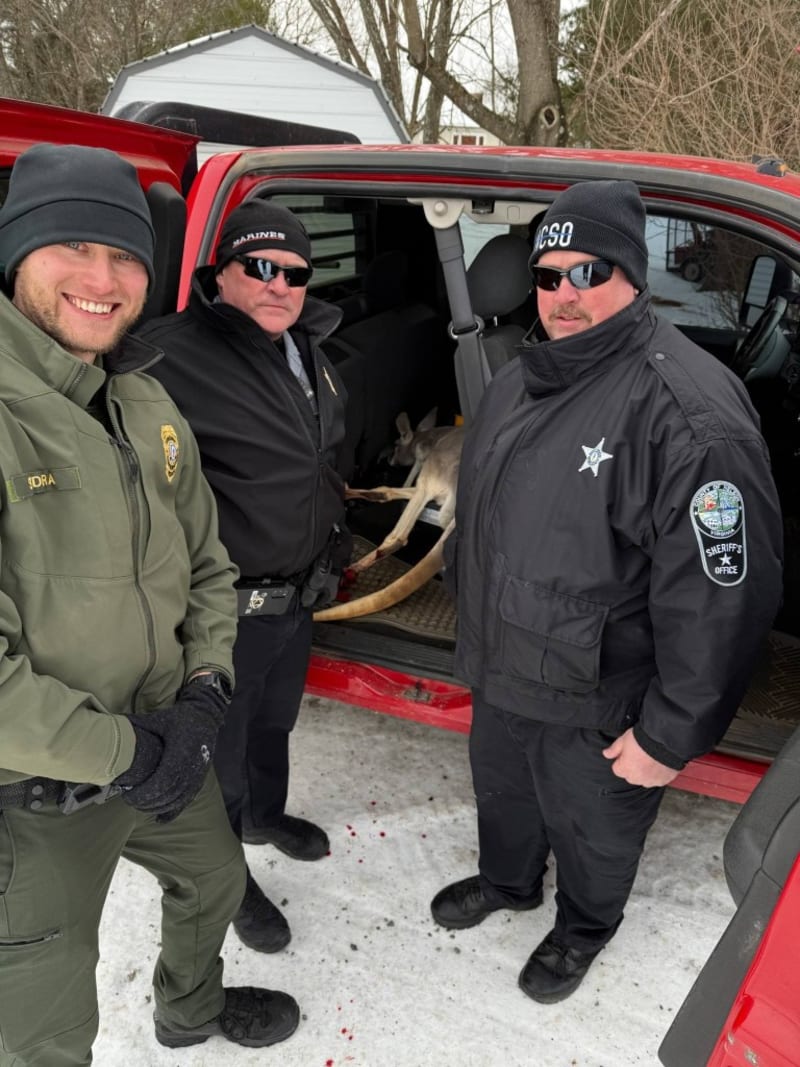 Virginia Kangaroo Leads Dogs Away to Save Her Baby - Image 5