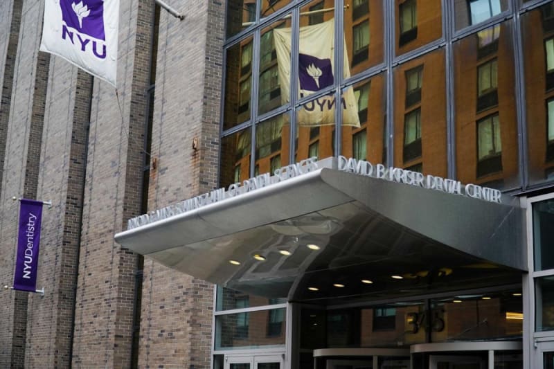 NYU Finds Way to Reduce Opioid Tolerance in Cancer Patients - Image 2