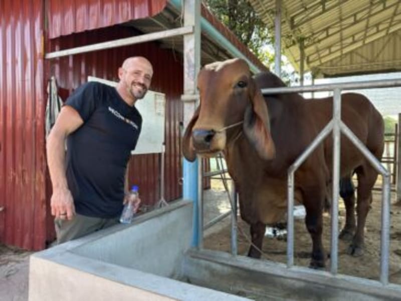 Cambodian "Fat Cow" Program Lifts Families Out of Poverty - Image 4