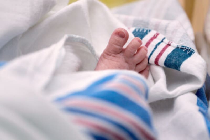 Michigan Family Creates Scholarship Honoring Veteran Dad - Image 5