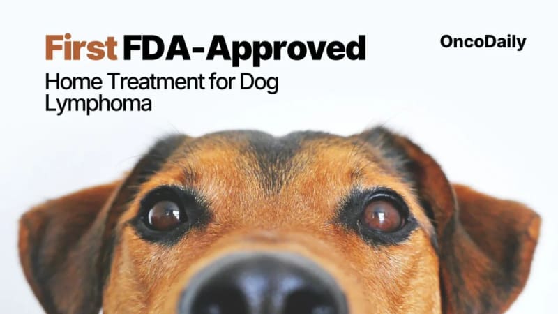 FDA Approves First Dog Lymphoma Drugs: Tanovea & Laverdia - Image 2