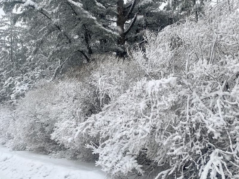 Flanders Neighbors Drop Everything to Help Grieving Woman