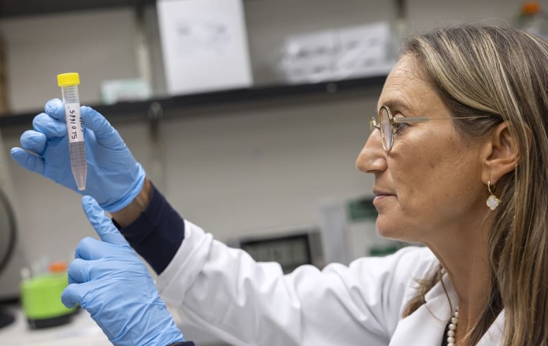 Female researcher Dr. Sholler examining medical sample in modern laboratory at Penn State College of Medicine