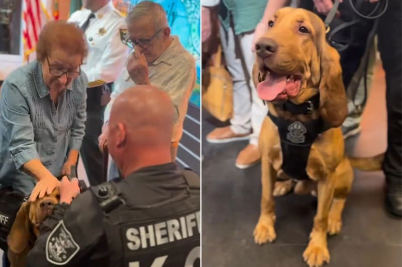 Lost Florida Man, 78, Reunited With K-9 Who Saved His Life - Image 2