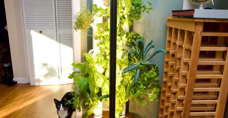 Indoor Gardening Revolution: How AI is Turning Black Thumbs Green