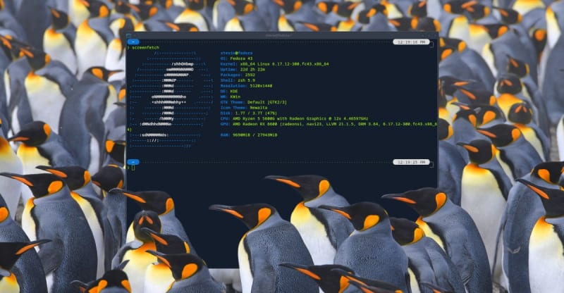 Customized Linux desktop screen showing Nordic blue theme with clean modern interface design