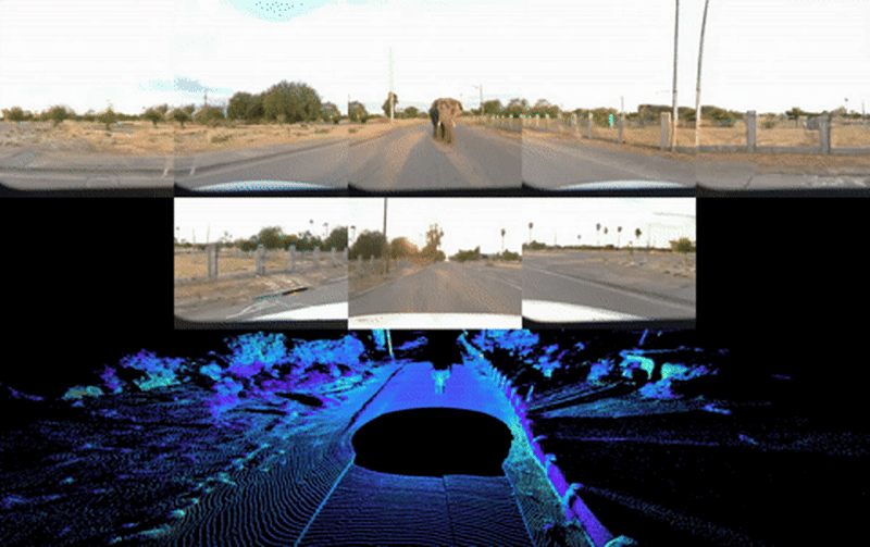 Waymo Tests Driverless Cars Against Tornados and Elephants - Image 5