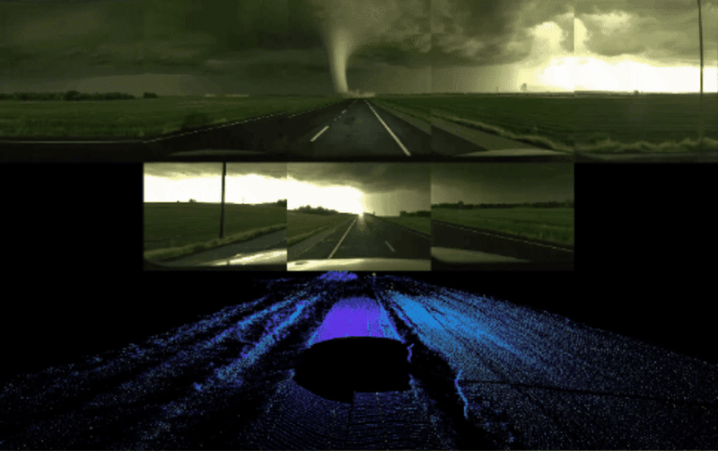 Waymo Tests Driverless Cars Against Tornados and Elephants - Image 4