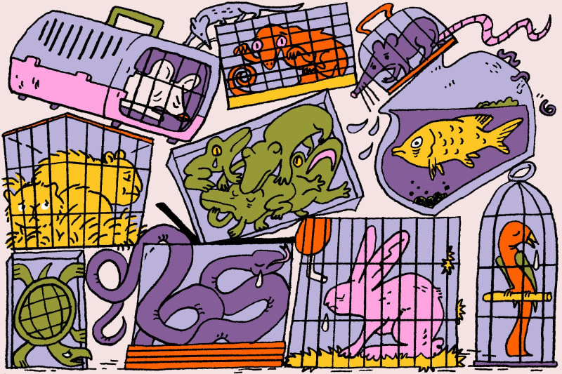 Scientists Discover 16,000 New Species Every Year Now - Image 5