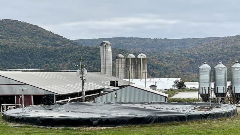 Pennsylvania Dairy Farms Cut Carbon 20% With New System