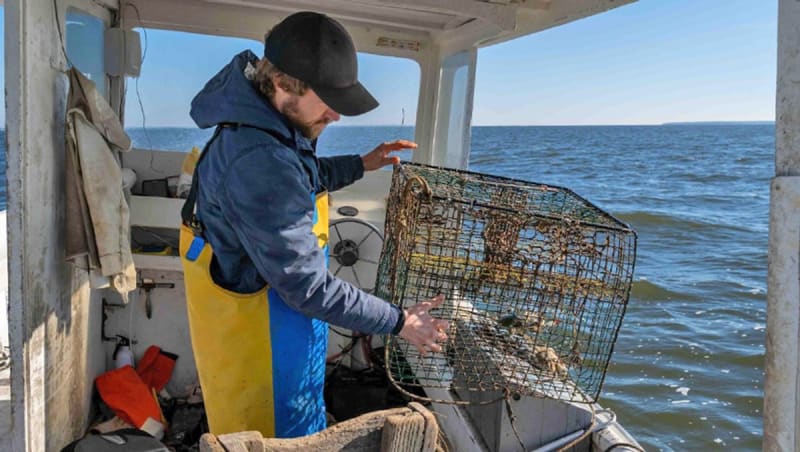 NC Fishermen Remove 24,000 Lost Crab Pots Since 2014