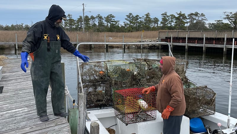 NC Fishermen Remove 24,000 Lost Crab Pots Since 2014 - Image 4
