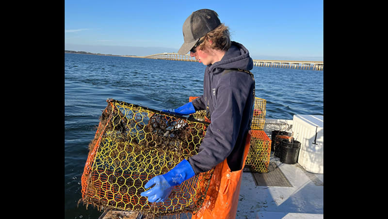 NC Fishermen Remove 24,000 Lost Crab Pots Since 2014 - Image 5