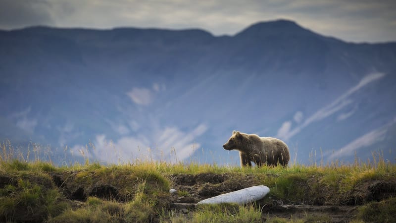 Oregon House Passes Wildlife Conservation Funding Bill - Image 4