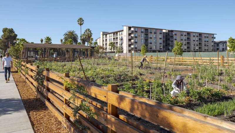 Neighborhoods Built Around Farms Reimagine City Living