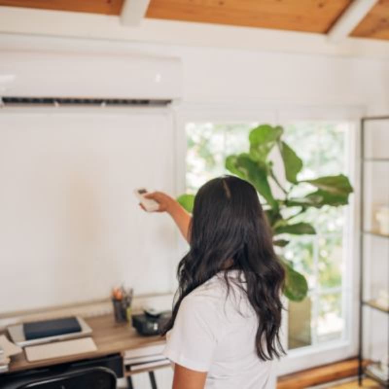 Tiny Algae Cools Aussie Homes by 3°C Without AC - Image 5