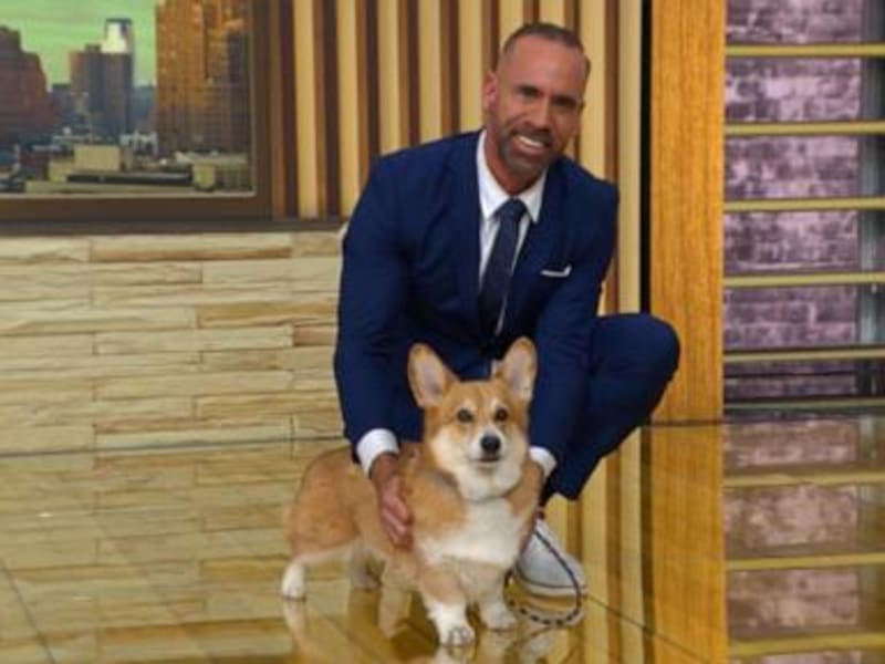 Revamp Your Pet Care: Expert Veterinarian Shares New Year's Resolution Tips