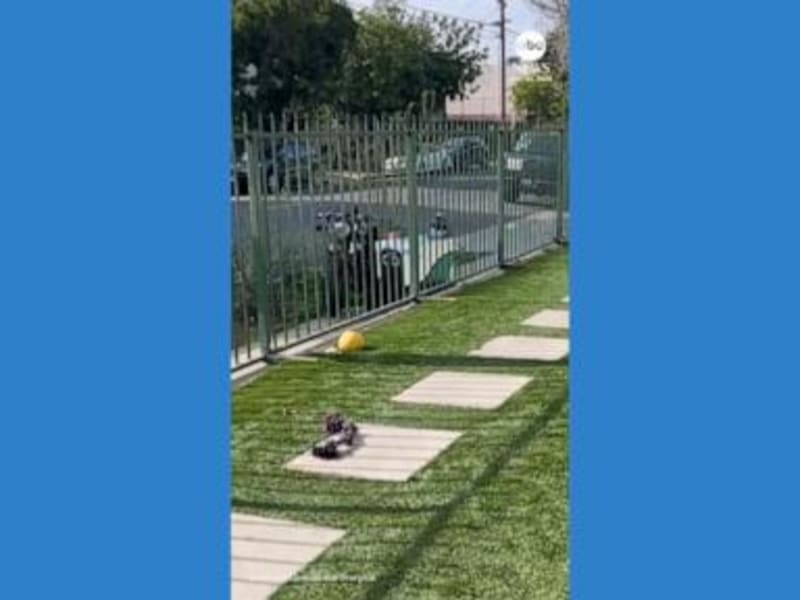 Urban Tech Challenge: Delivery Robot Navigates Sidewalk Obstacle Course