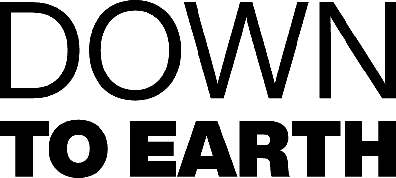 Mushroom Leather Replaces Plastic in Shoes and Furniture - Image 3