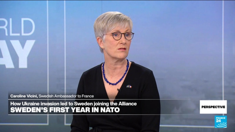 Sweden Celebrates 2 Years in NATO After 200-Year Neutral Stance