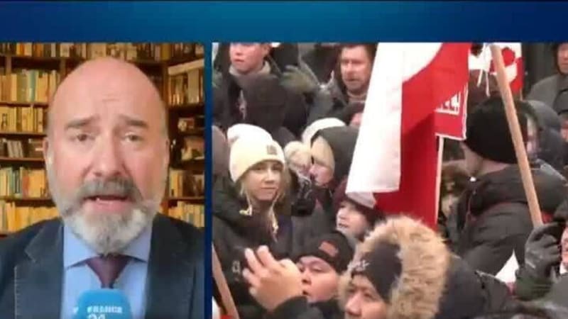 Netherlands Shares 200,000 Free Tulips on National Day - Image 5